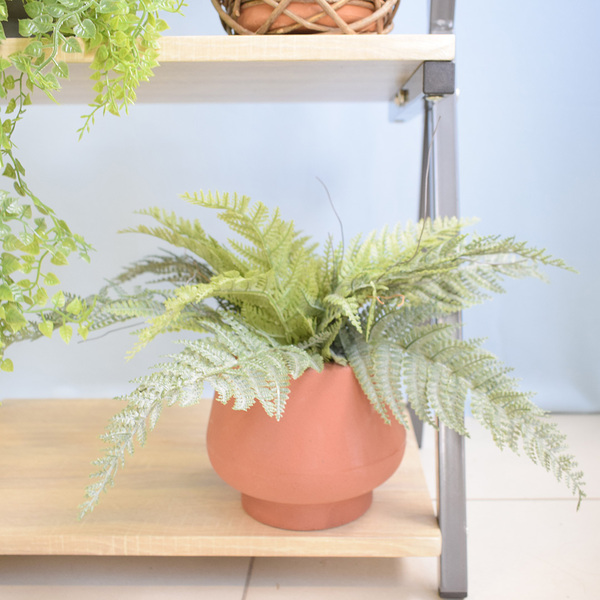 Arranjo Samambaia Toque Real No Vaso Terracota P | Formosinha